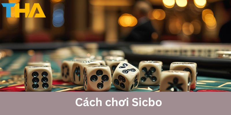 Kinh Nghiệm Chơi Sicbo Thực Tế: Bí Quyết Giúp Chiến Thắng 2 Các anh em cùng tìm hiểu góp ý chơi Sibco