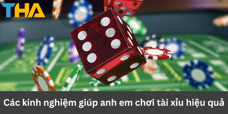 Kinh Nghiệm Chơi Tài Xỉu Bất Bại Trong Mọi Ván Cược 3 Các kinh nghiệm giúp anh em chơi tài xỉu hiệu quả
