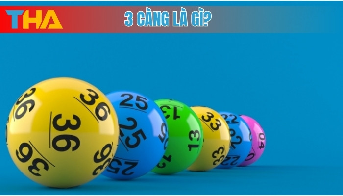 3 Càng Là Gì? Tìm Hiểu Bí Quyết Chơi Lô 3 Càng Thắng Lớn 2 3 càng là gì?