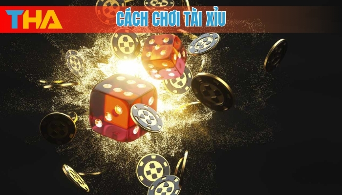 Cách Chơi Tài Xỉu: 5 Bí Quyết Hiệu Quả Để Thắng Lớn 4 Cách chơi tài xỉu