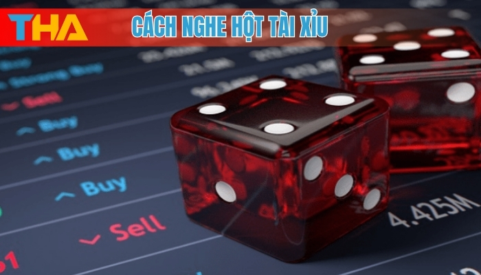 Cách Nghe Hột Tài Xỉu: 5 Kinh Nghiệm Hiệu Quả Nhất Để Thắng Lớn 4 Cách nghe hột tài xỉu