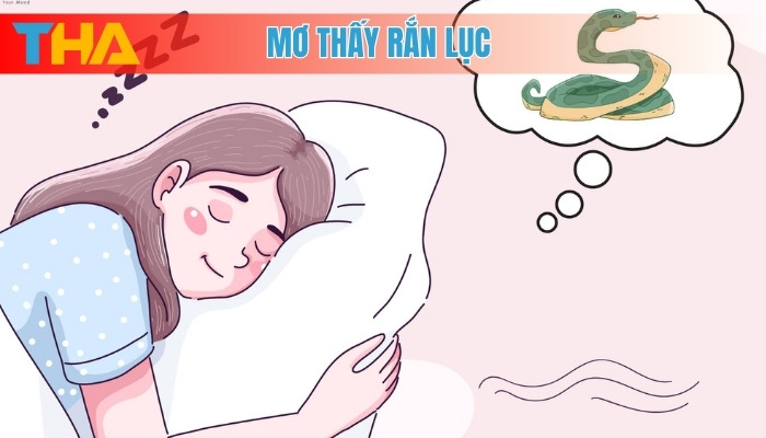 Mơ Thấy Rắn Lục: 7 Ý Nghĩa Phổ Biến & Điềm Báo Cần Biết 4 Mơ thấy rắn lục