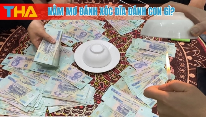 Nằm Mơ Đánh Xóc Đĩa Đánh Con Gì? Giải Mã Giấc Mơ 2025 4 Nằm mơ đánh xóc đĩa đánh con gì?